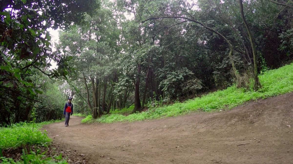 Aguas del Maqui | 12.5K